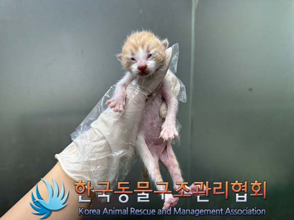 종료(자연사) 한국…